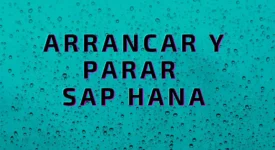 SAP HANA - Arrancar y parar por comandos