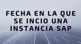 En que fecha se arranco SAP