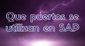 Que puertos se utilizan en SAP