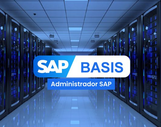 sap basis que es